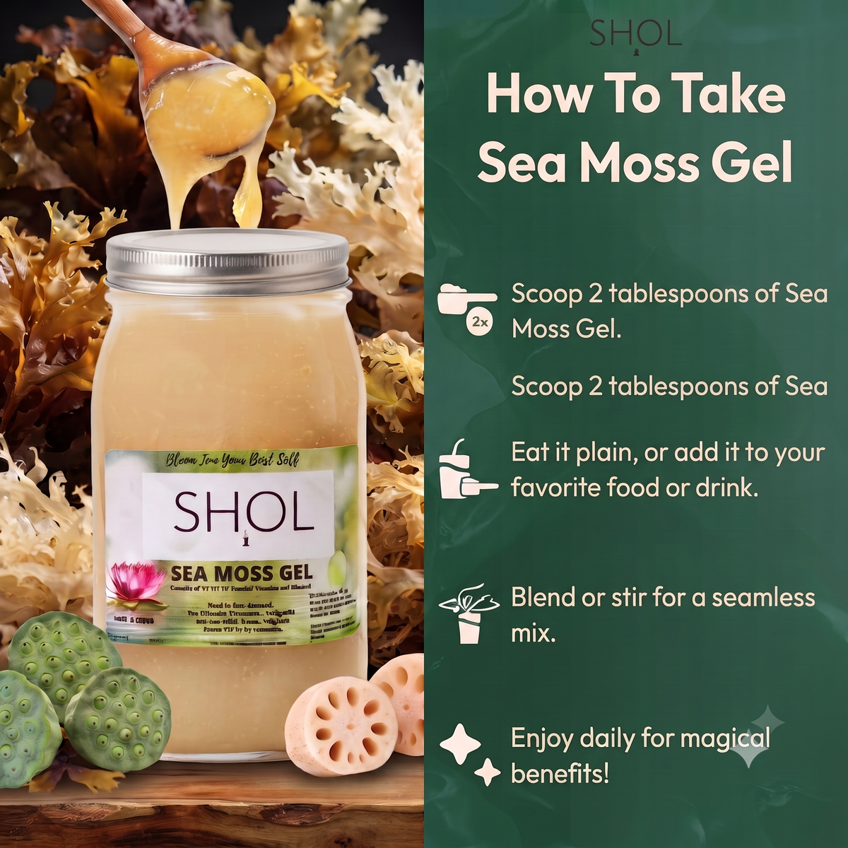 Seamoss Gel 16oz