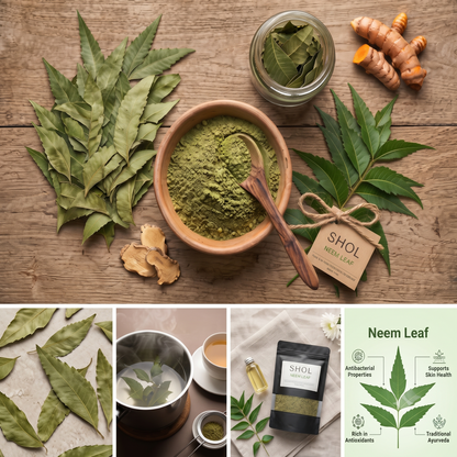 Neem Leaf